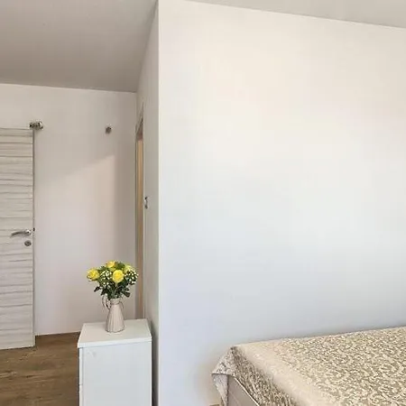Barduni In Apartment Zminj