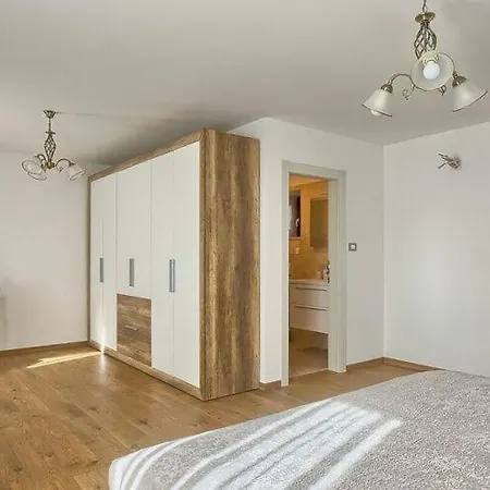 Barduni In Apartment Zminj
